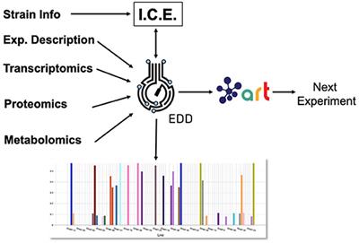 Multiomics Data Collection, Visualization, and Utilization for Guiding Metabolic Engineering